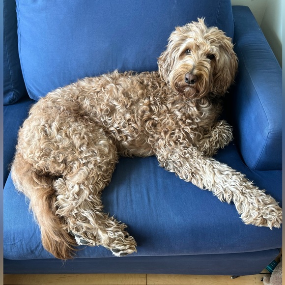 Meet your Posher, Miss - Picture 2 of 3